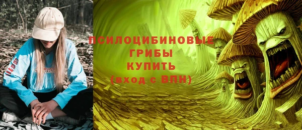 ПСИЛОЦИБИНОВЫЕ ГРИБЫ Алексеевка