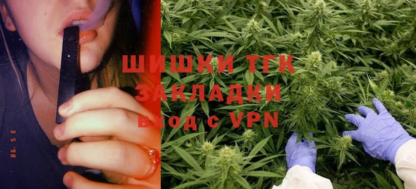 PSILOCYBIN Арсеньев