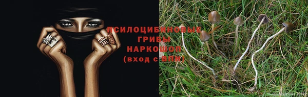 ALPHA PVP Армянск